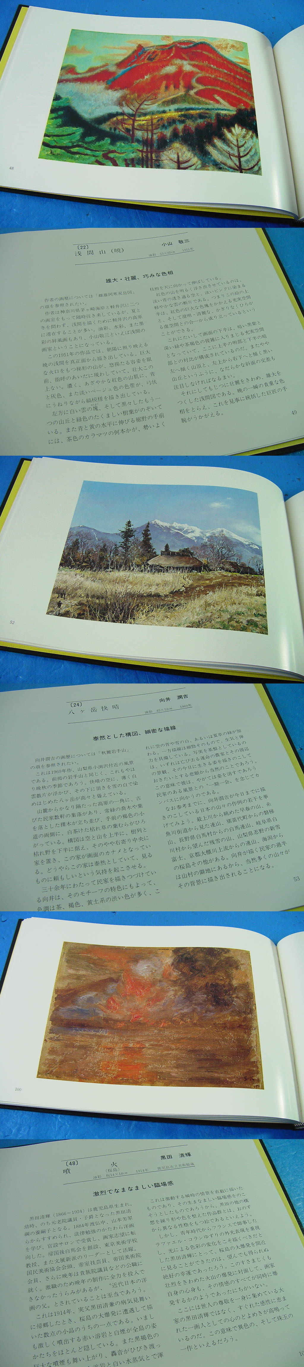 【日本の山 洋画篇 限996】定価98000円 額装用大版図版49図！　　
